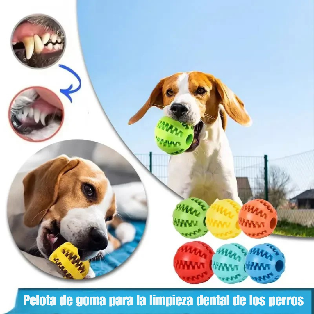 Pelota Limpieza Dental y Dispensador de Comida