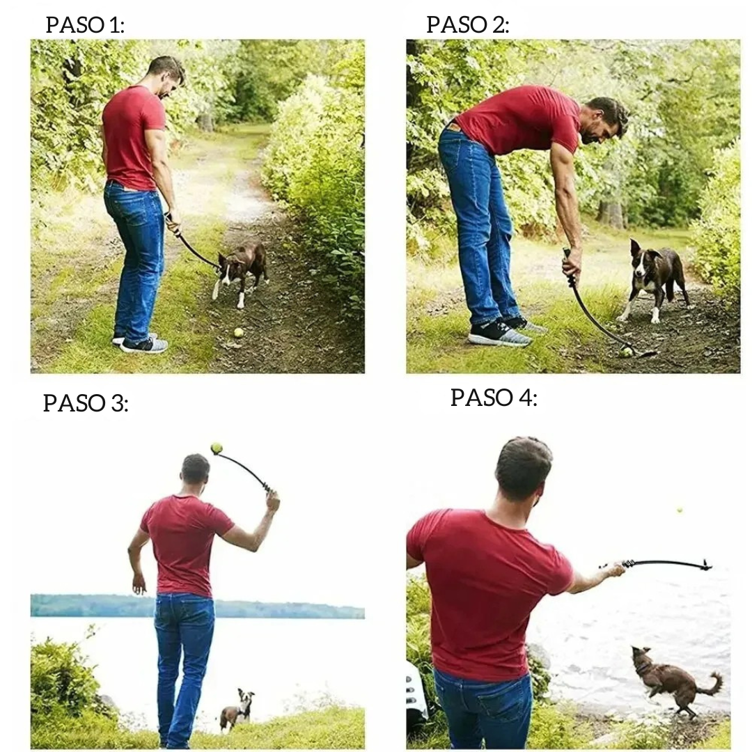 Juguete de Lanzamiento para Perros - Paleta y Pelota de Tenis para Actividades al Aire Libre y Entrenamiento