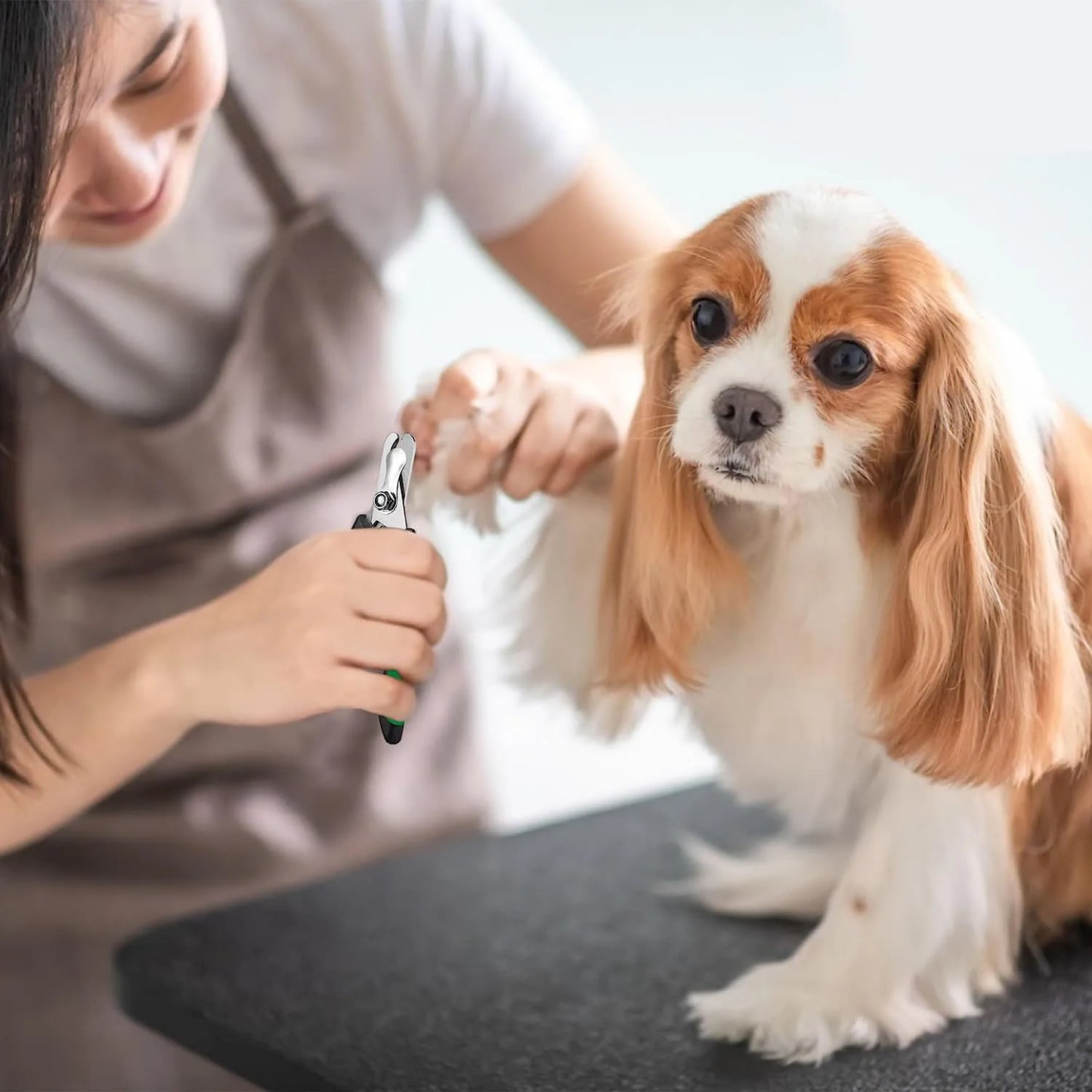 Cortauñas Profesional para Mascotas