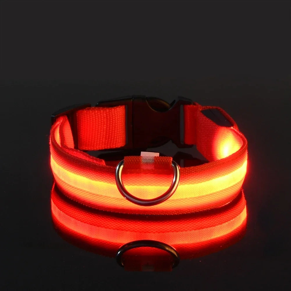 Collar LED para Perro de Nylon