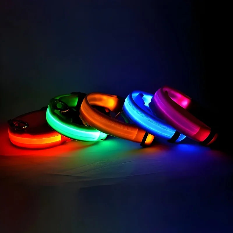 Collar LED para Perro de Nylon