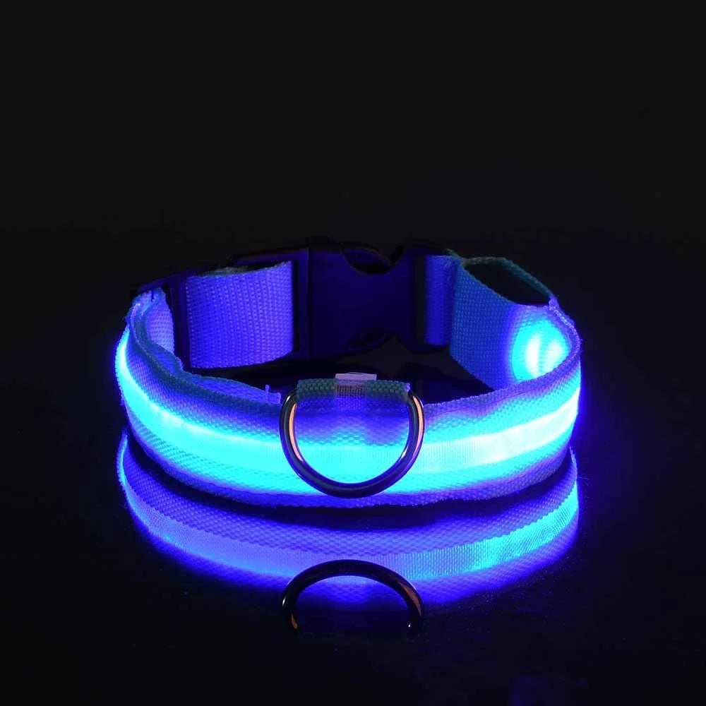 Collar LED para Perro de Nylon