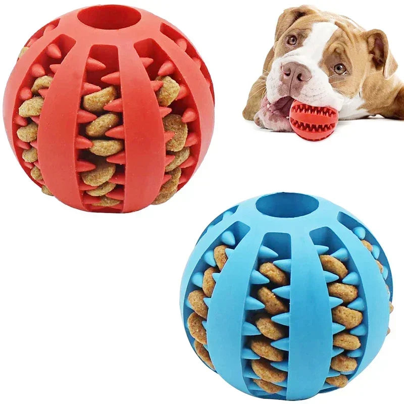 Pelota Limpieza Dental y Dispensador de Comida