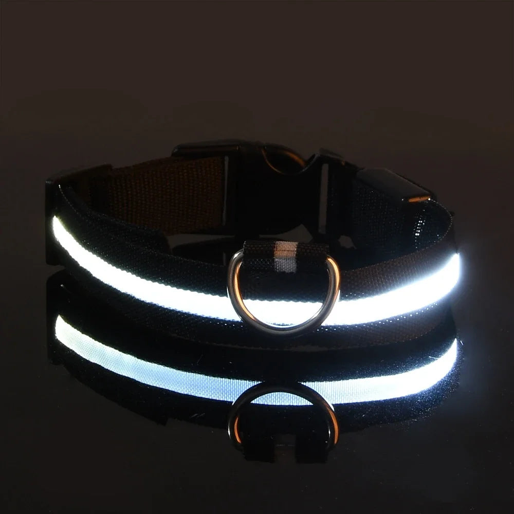 Collar LED para Perro de Nylon