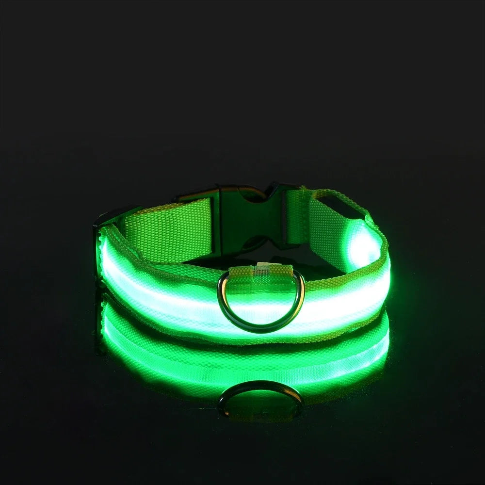 Collar LED para Perro de Nylon