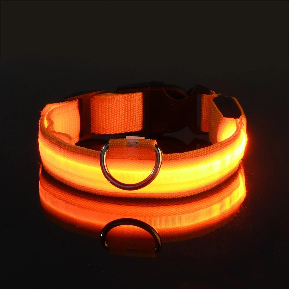 Collar LED para Perro de Nylon