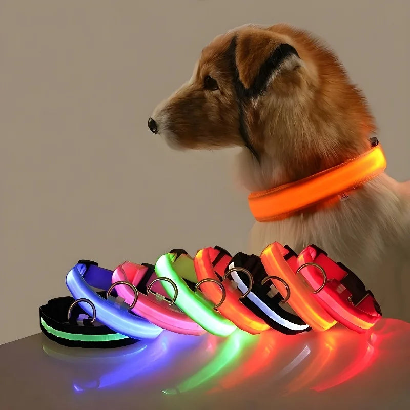 Collar LED para Perro de Nylon