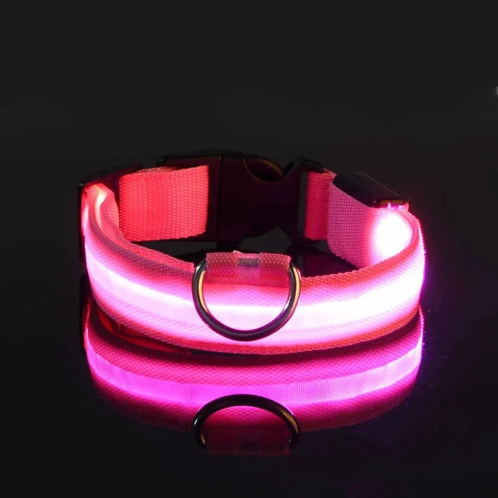 Collar LED para Perro de Nylon