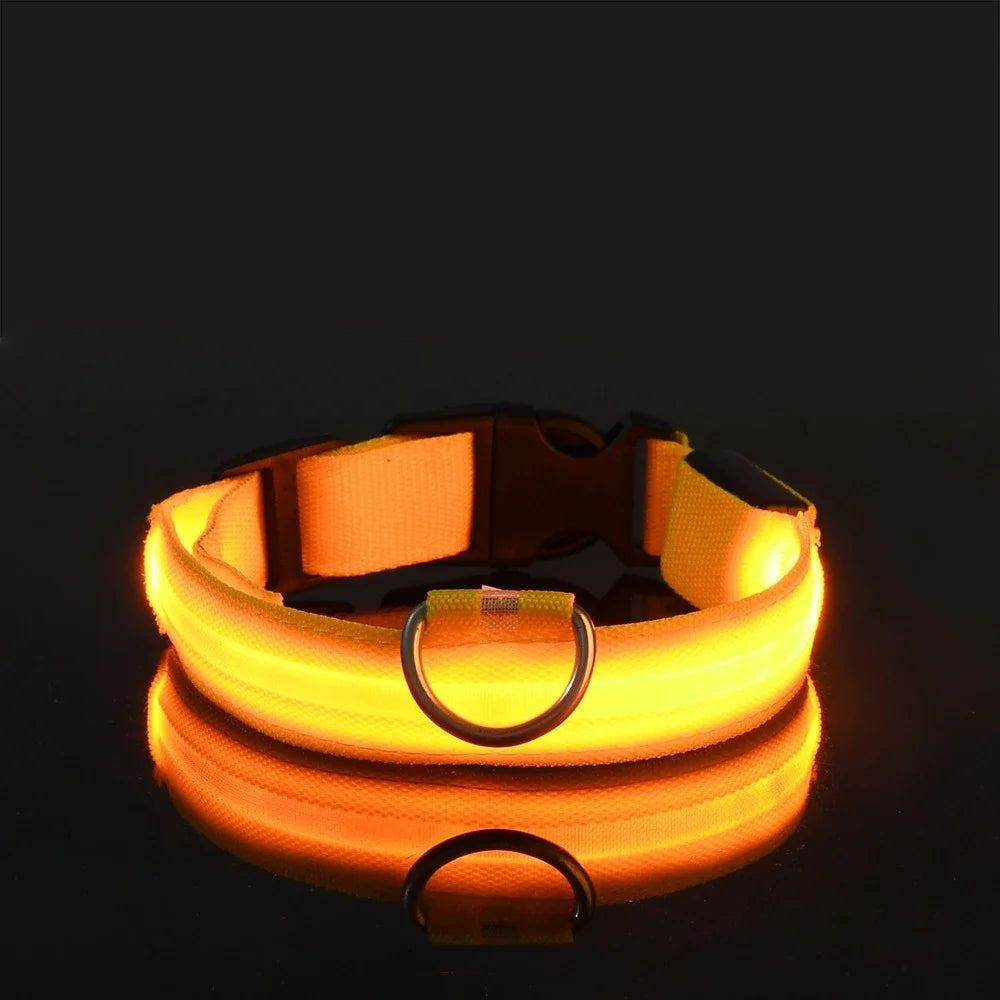 Collar LED para Perro de Nylon